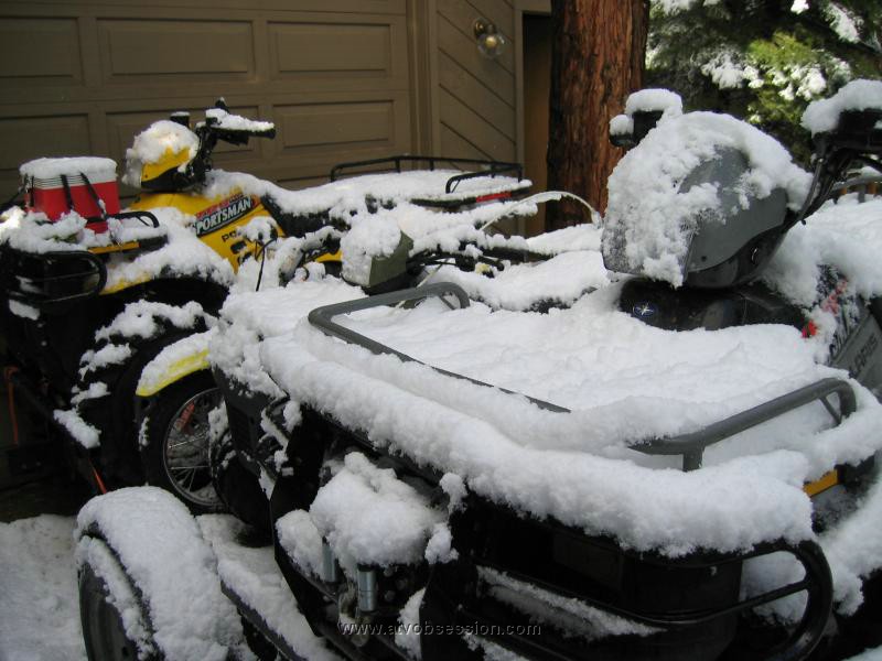 36. I'm dreaming of my quad christmas..jpg