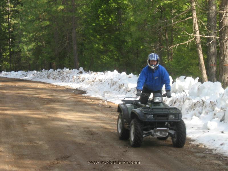 17. Bambi cruisin'..jpg