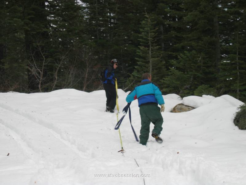 27.Jack and Terry look for another tree.jpg