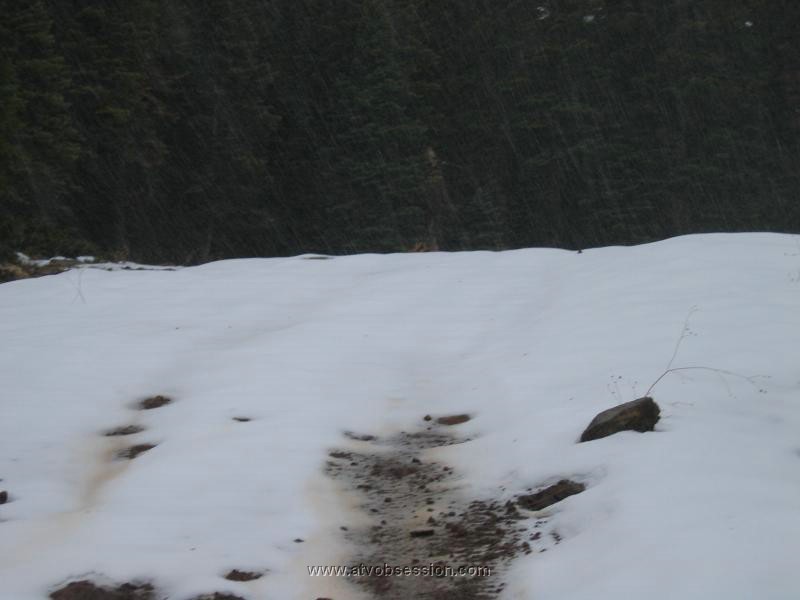 58. Snow coming down, no tracks!.jpg