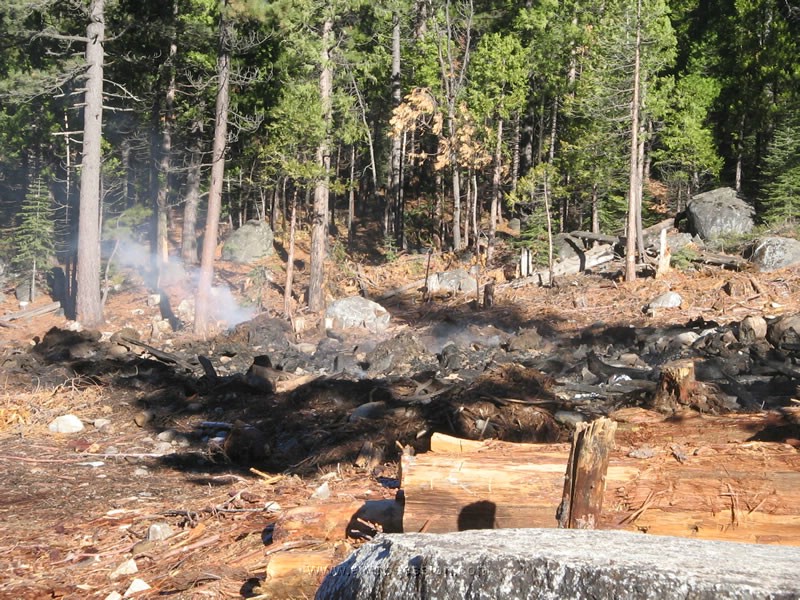 005. The big pile of logs was burned..jpg