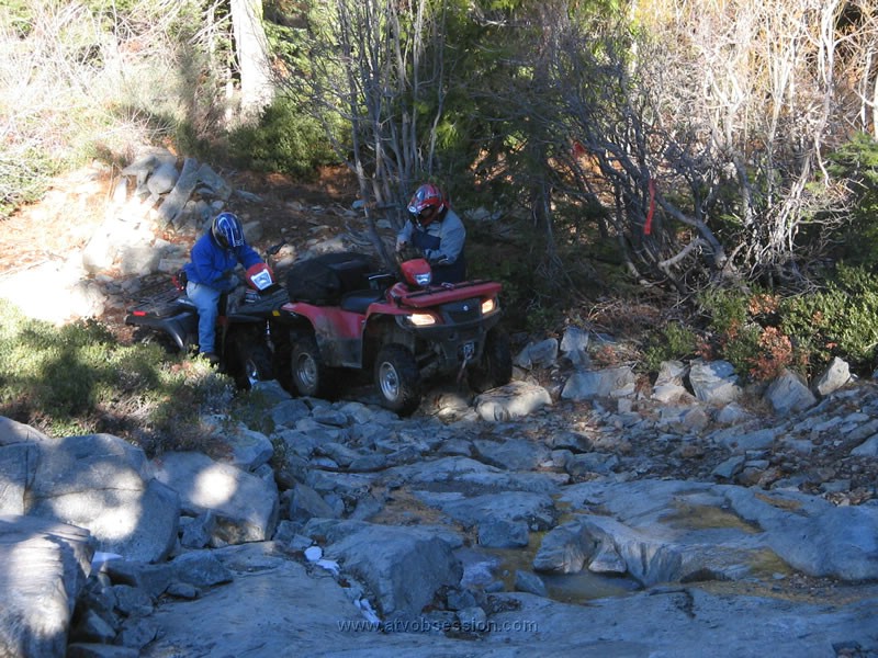 014. Larry and Dusty get ready...you can see the shiney ice..jpg