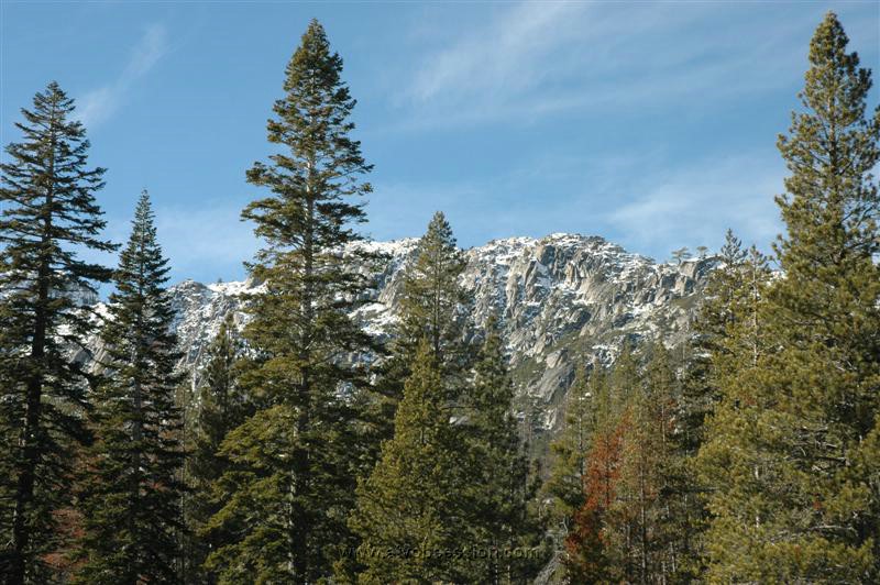 071. Let's enjoy the view..it's safer..jpg