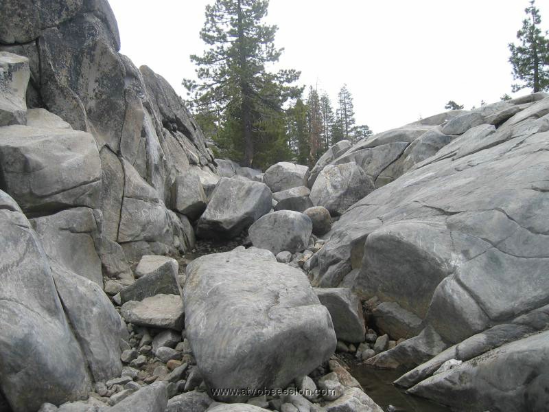 040. They're getting huge..jpg