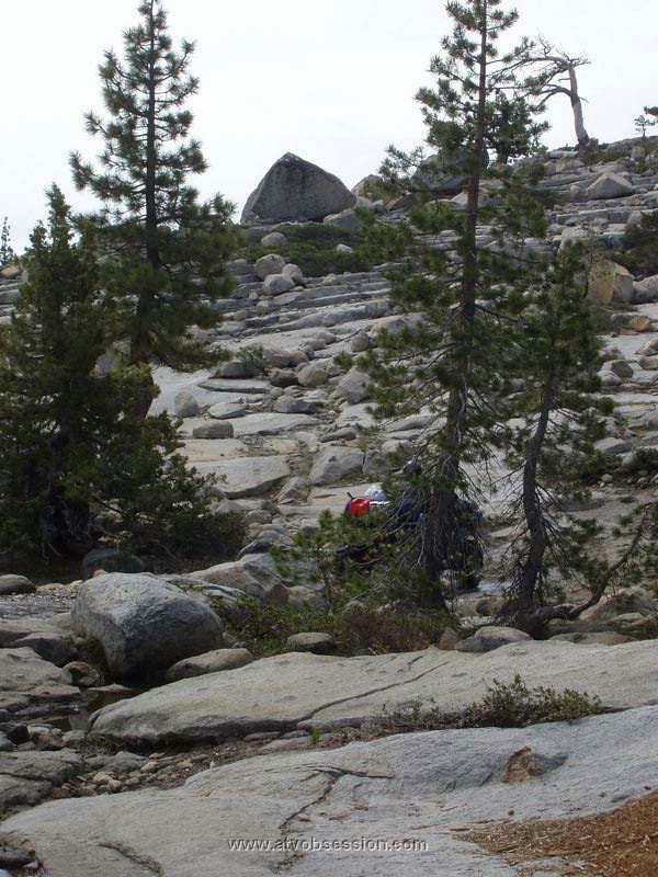 049. I think that's a Honda hiding in the trees..jpg