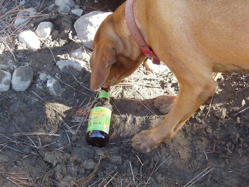 075. Mmmmm...Beer..jpg