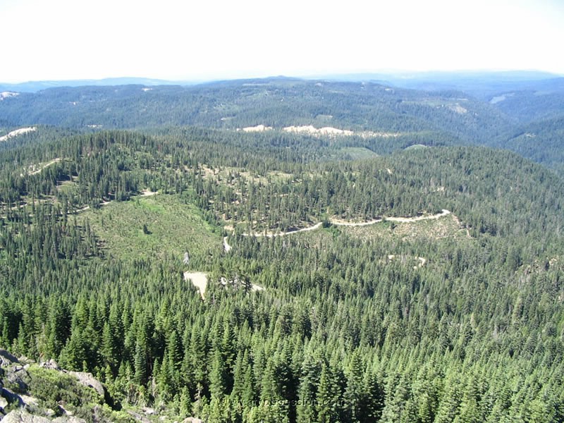 035. It's torture!.jpg