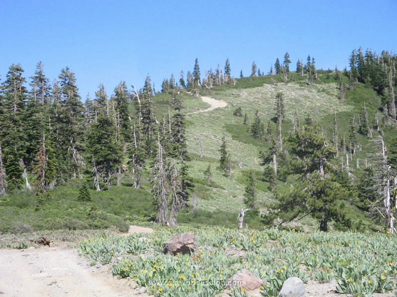 056. A little dust from the 2nd to last guy..jpg