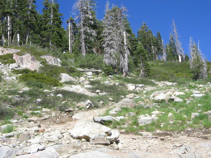 067. Chad climbs it first...but then waits..jpg