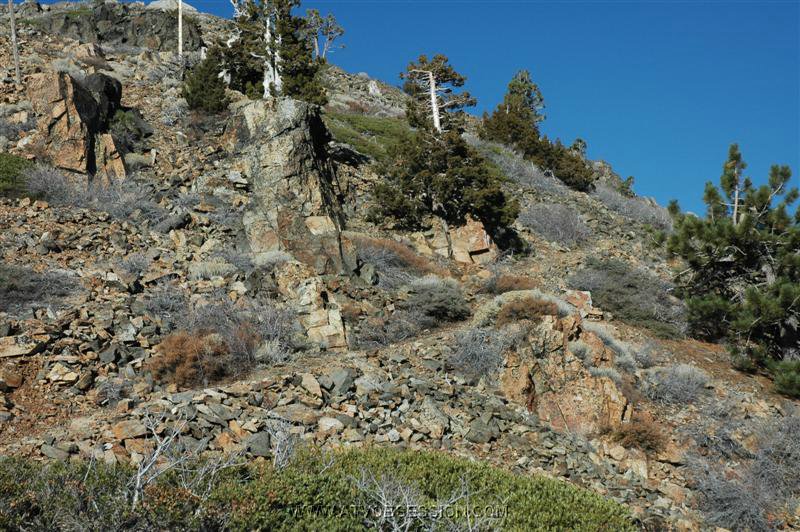 67. But not by much..jpg