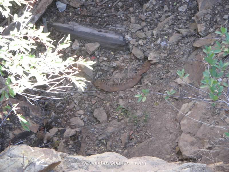 25. An old saw down in the hole..jpg