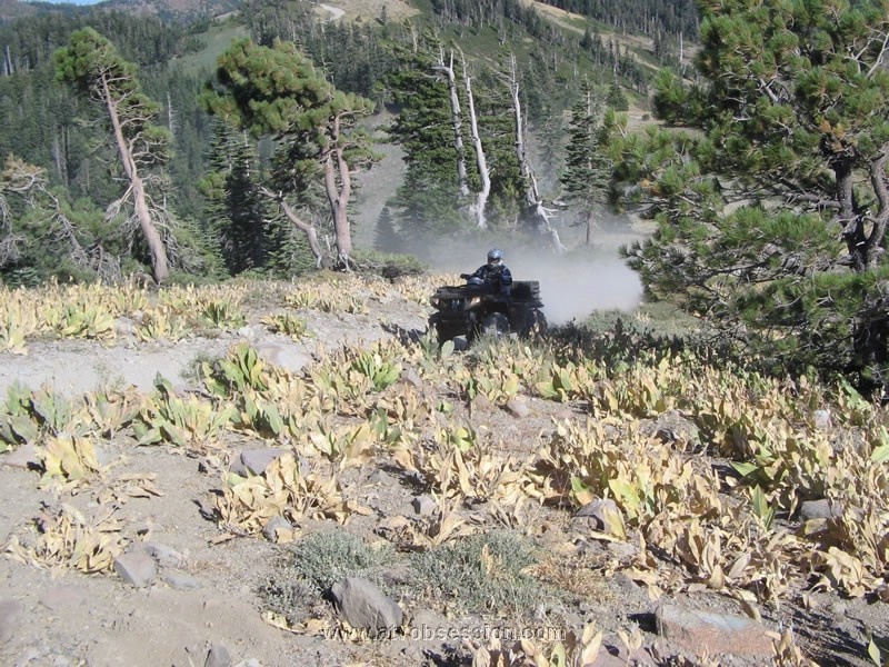 36. I wait for Steve at Spencer Lake Ridge and Steve comes right at me..jpg