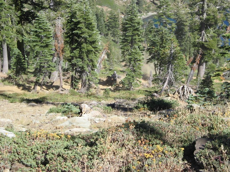 56. Steve comes back up from Deer Lake..jpg