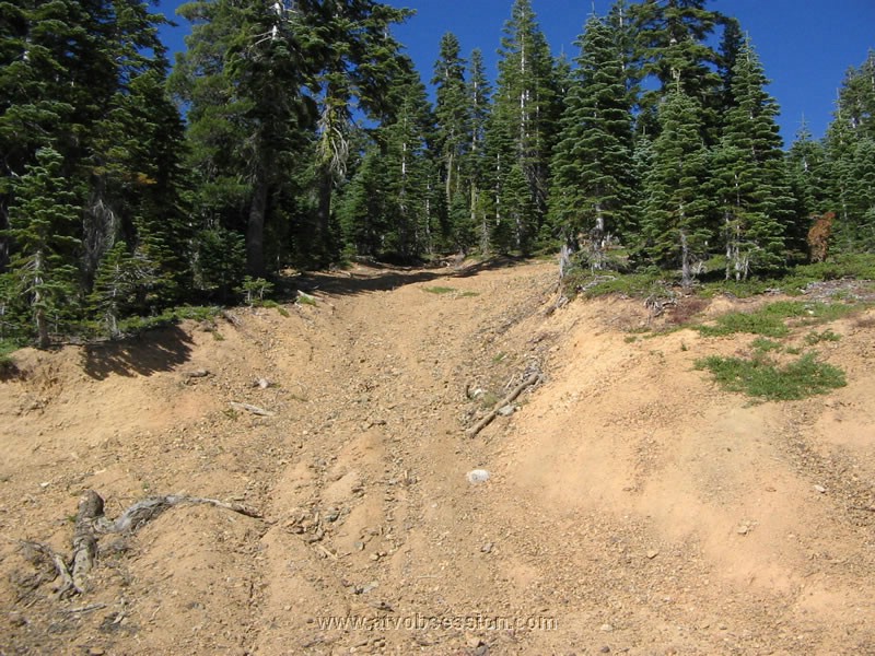 57. We found tons of steep logging roads...Hold on!.jpg