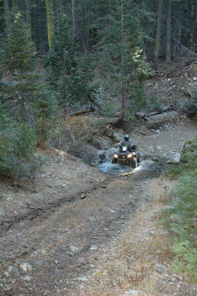 09. Finally Bill aka Crash's Dad..jpg