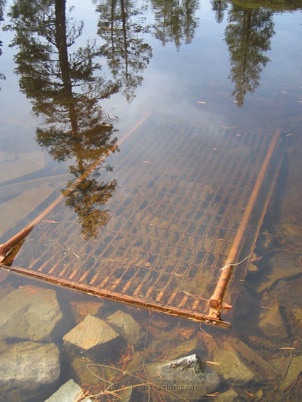 040. Honey...you left the bed in the lake again..jpg