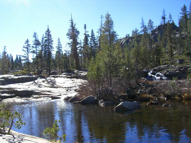 139. The Springs never get old..jpg