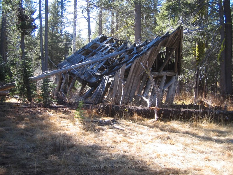 146. Could this be the year...jpg