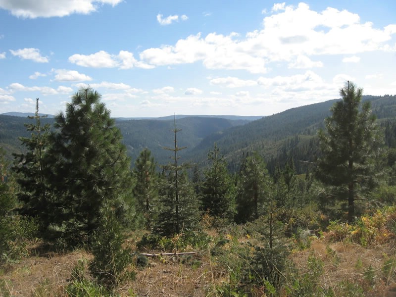 086. Huge canyon view on our way back to Bowman..jpg