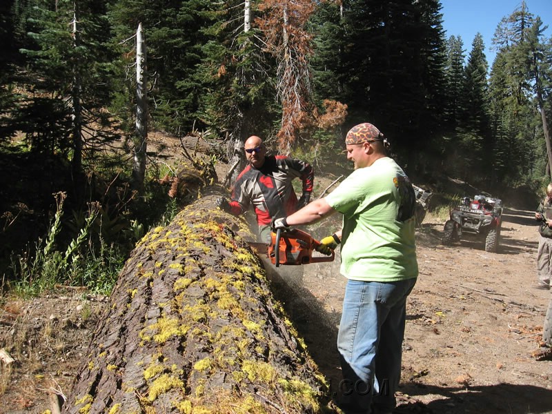 008. So Kendo gets to play Lumberjack..jpg