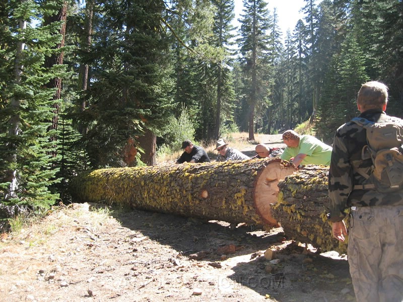 019. It's ROLL time!.jpg