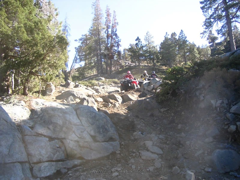 023. Follow the leader..jpg