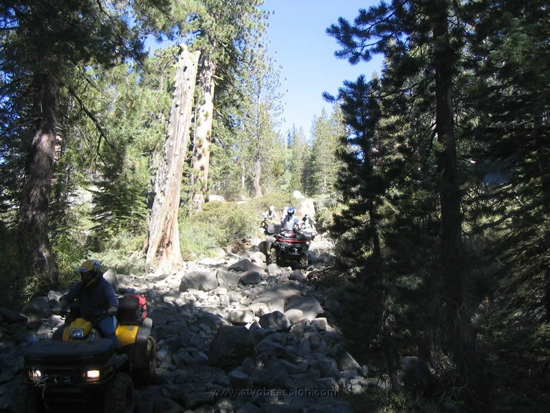 029. Mr. Bill and Dusty..jpg