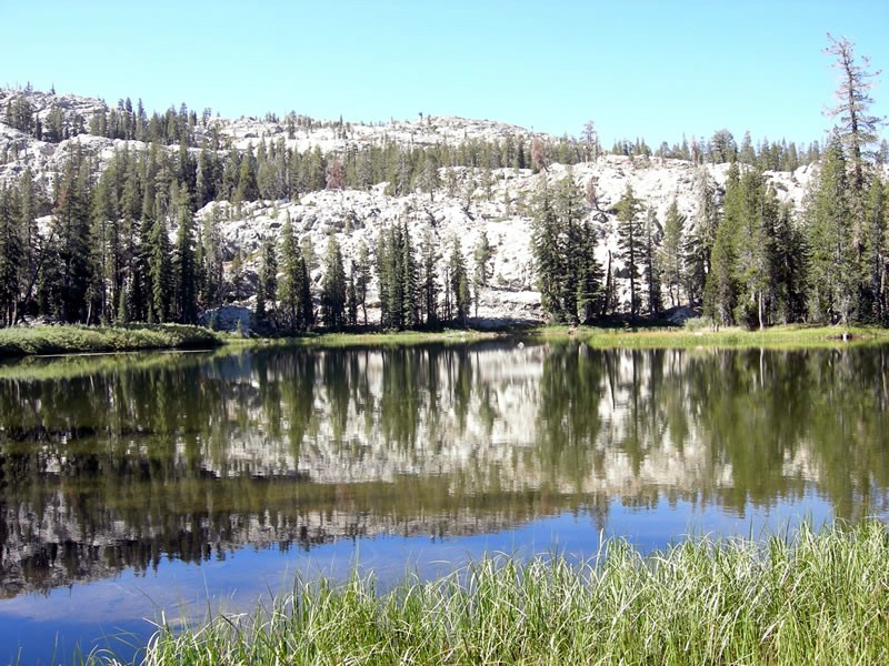 071. Like glass..jpg