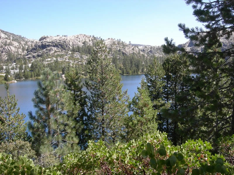 078. Bowman Lake..jpg