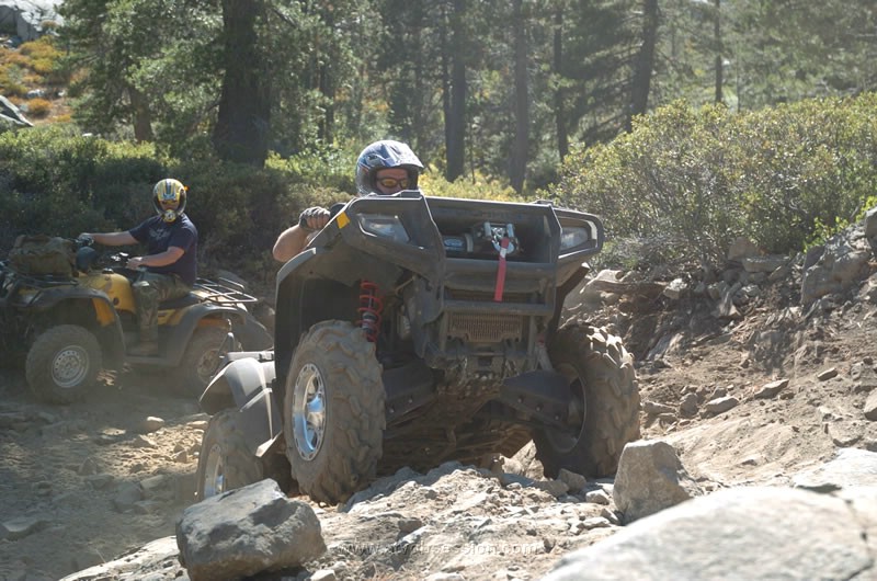 208. Bono hits it..jpg