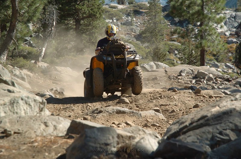 265. More of wheelie boy..jpg