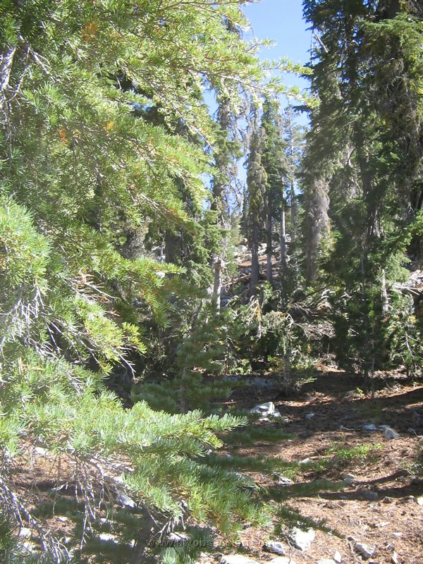 30. And it fades even more..jpg