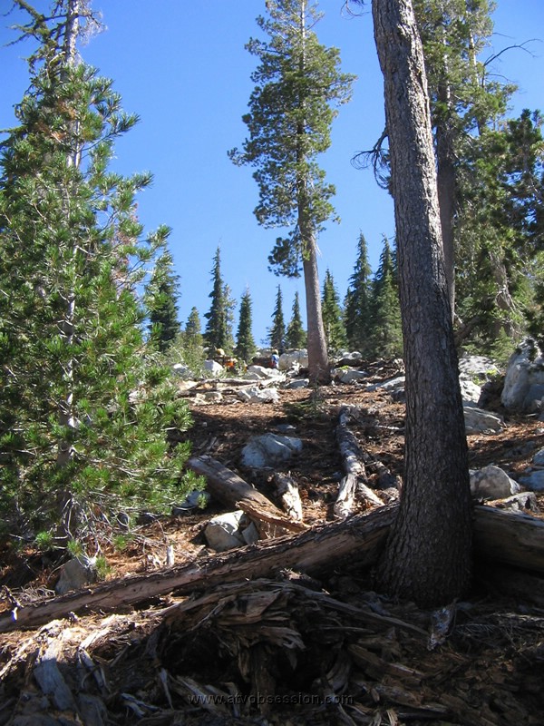 31. So I turn around and finally see those guys up the hill..jpg