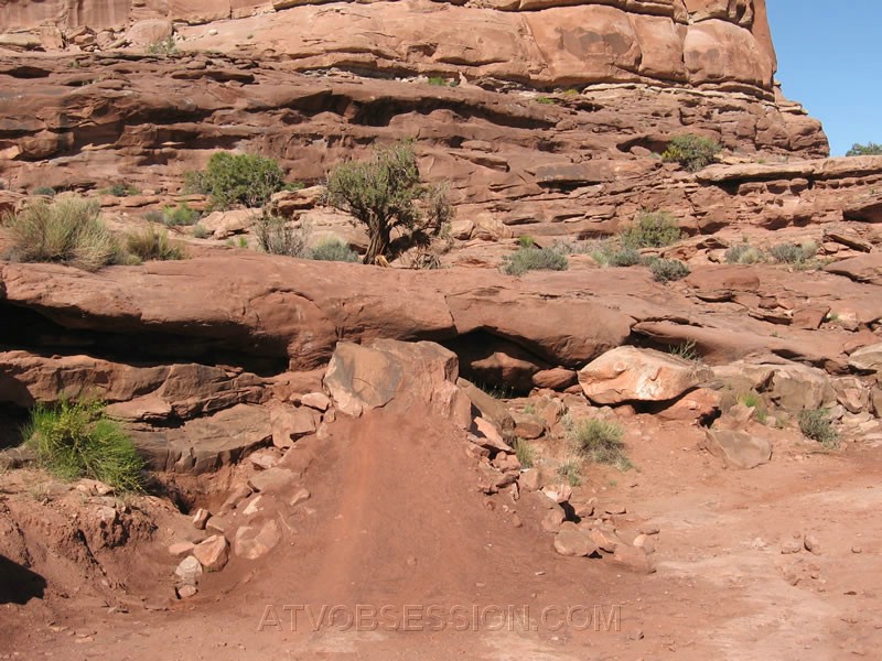 204. On the way back, it looks like a motorcycle jumped it and hit the tree cause the bark was messed up..jpg