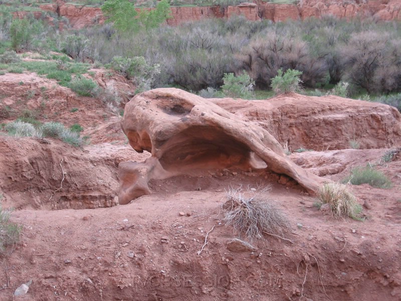 244. It's a creepy skull rock..jpg