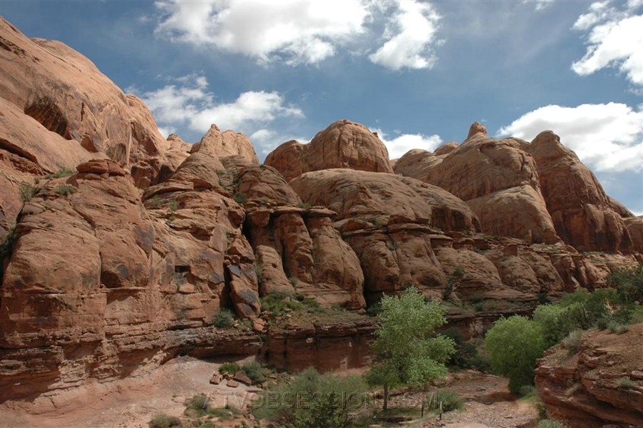 017. Leave it to Ansel Larry to shoot scenery while I'm busted..jpg