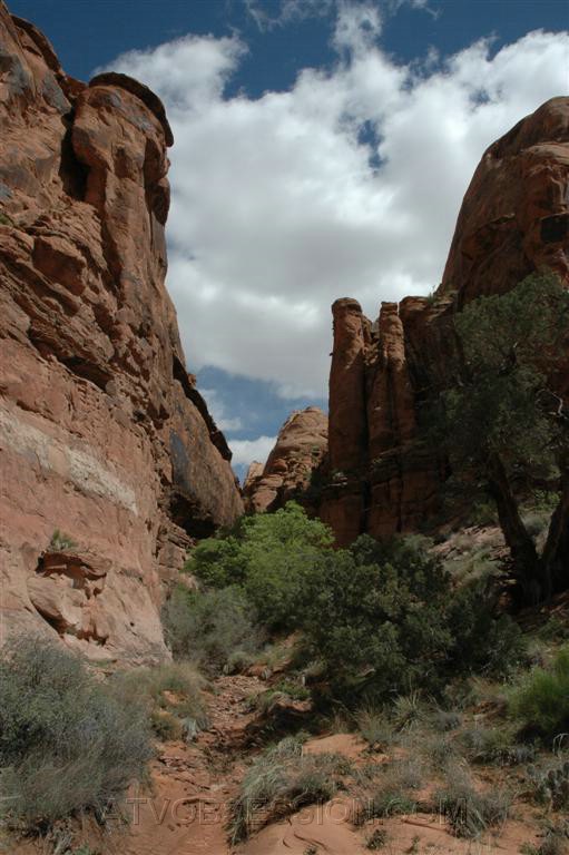 029. While I leave...Ansel gets back to what he does best!.jpg