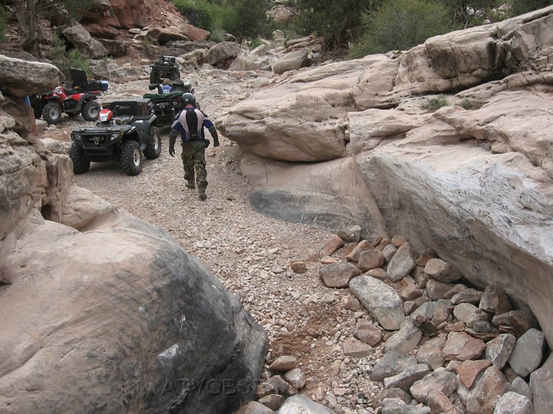 046. Jack walks back..he wants a crack at it..jpg