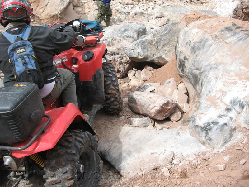 056. Picking a path through..jpg