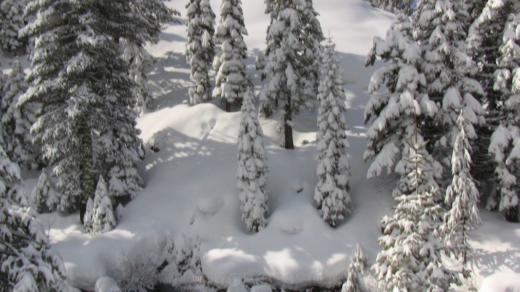 31. Toward Gerle Creek..jpg