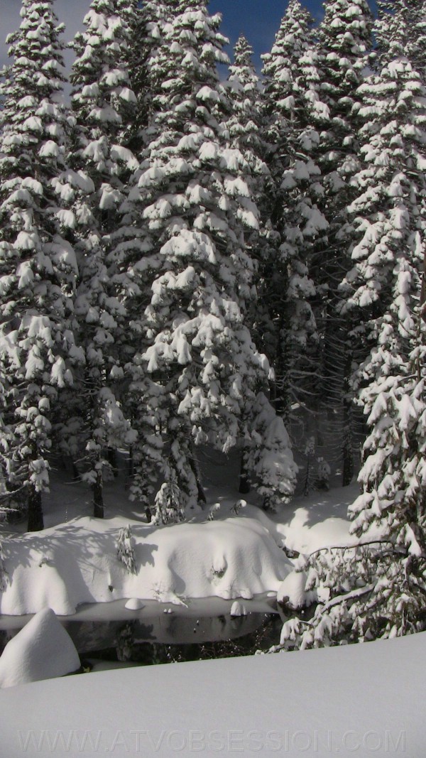 32. Pretty day, after miserable day..jpg