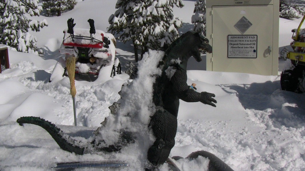 35. Someone cleaned me!.jpg