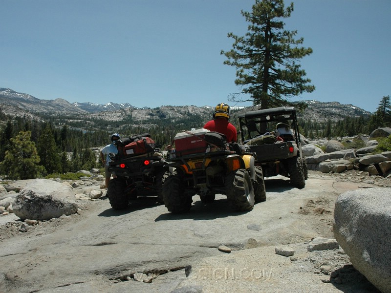 083. Potty break again..jpg