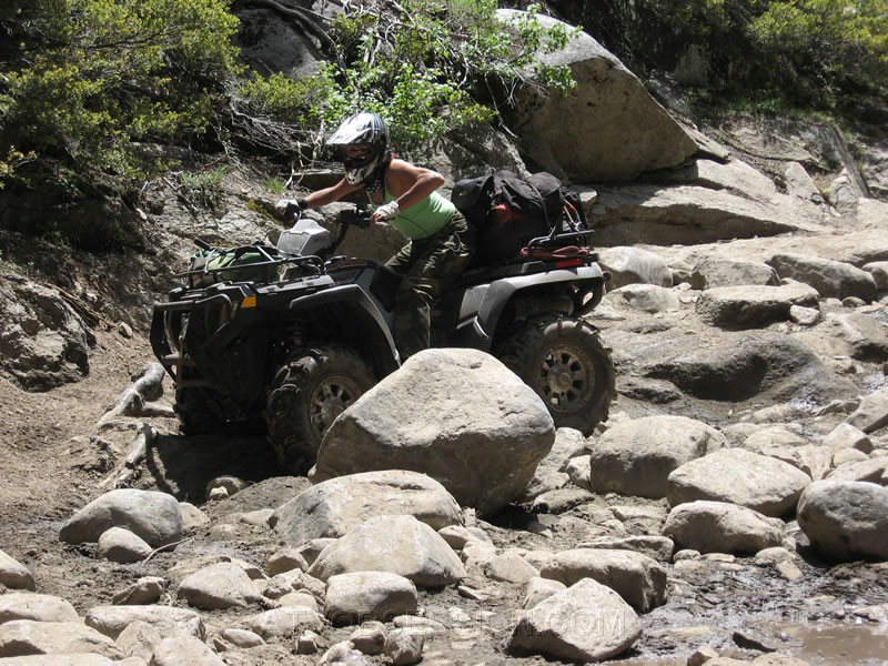 209. Buffed Babe..jpg