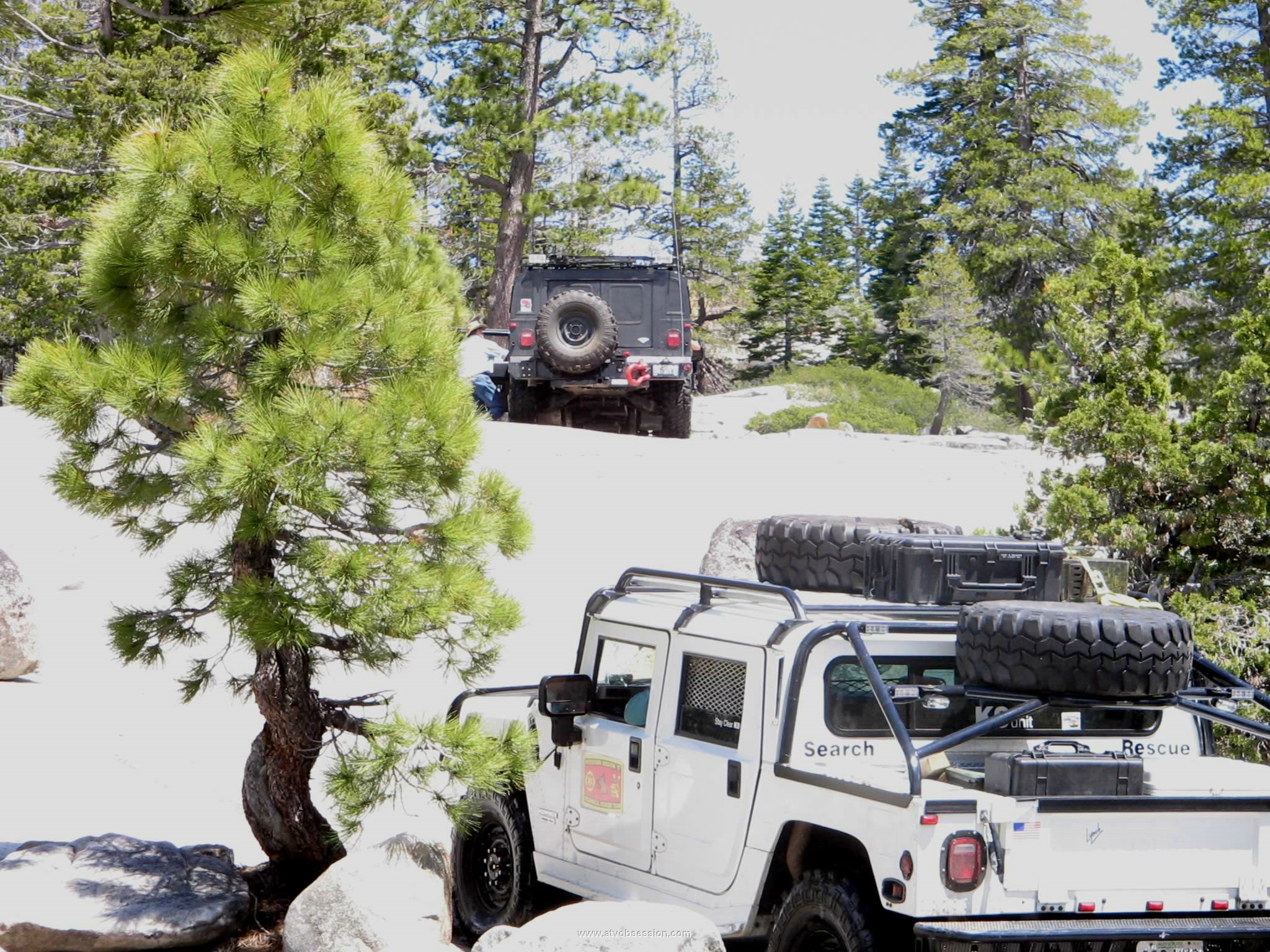 79. They were definitely prepared and now much damage, so far..jpg