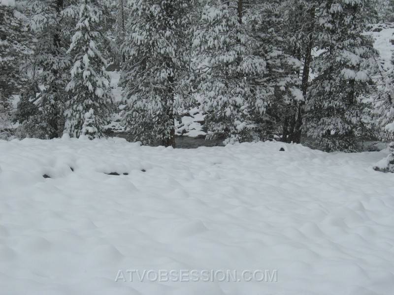 23. Little fluffy marsh mellow rocks at the Committee Crossing..jpg