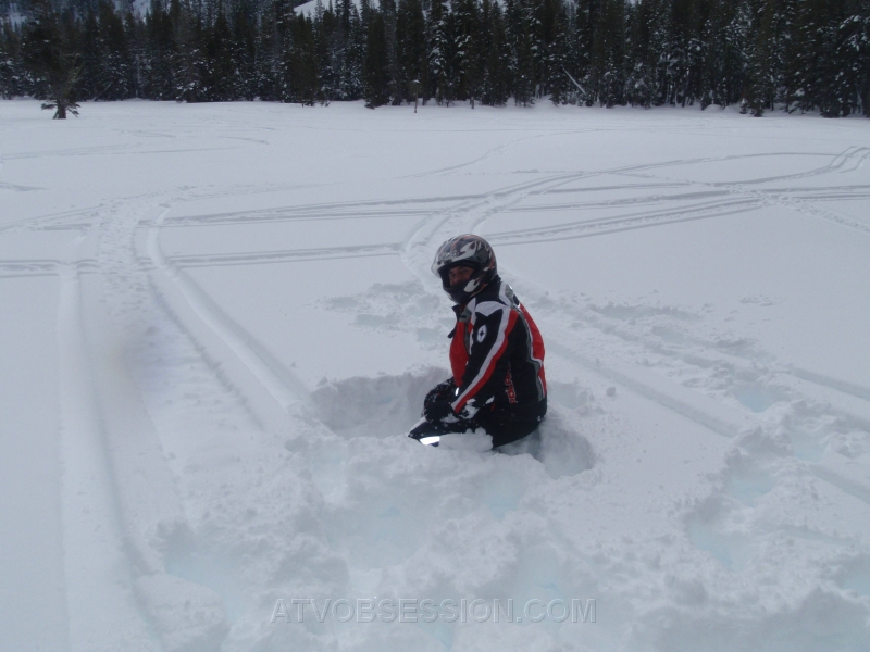 38 Digging for the ice..but can't dig deep enough..jpg