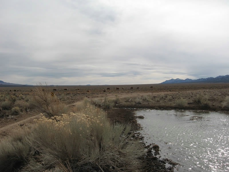 146. And they check out us...some never stopped staring..jpg