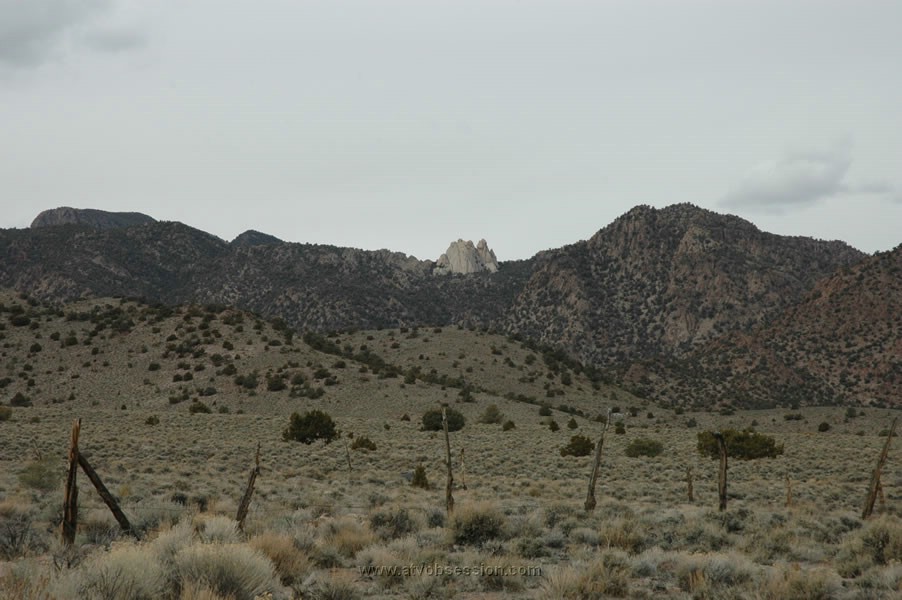 154. With a nice backyard..jpg