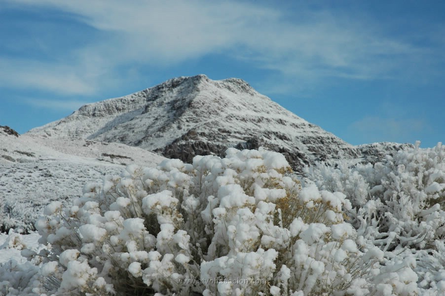 228. The desert looks beautiful in the winter..jpg